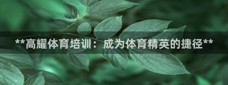 极悦平台注册用户名验证：**高耀体育培训：成为体育精
