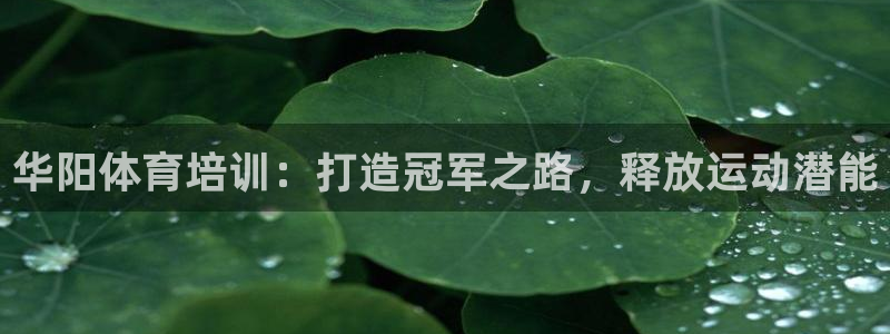 极悦官网入口登录：华阳体育培训：打造冠军之路，释放运