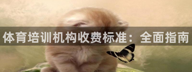 极悦平台是正规平台吗安全吗是真的吗：体育培训机构收费
