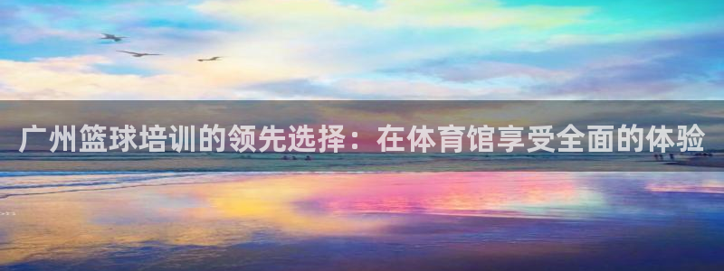 极悦平台注册官方网站下载安卓：广州篮球培训的领先选择