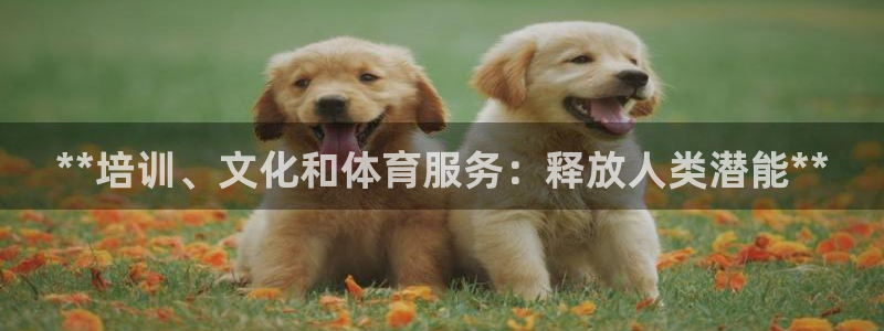 极悦平台下载安装：**培训、文化和体育服务：释放人类