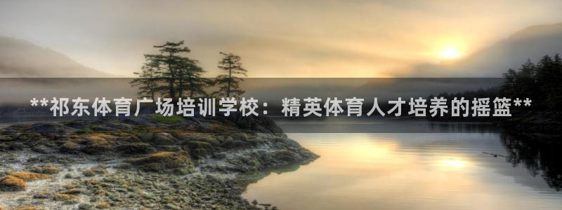 极悦平台是干什么的软件：**祁东体育广场培训学校：精