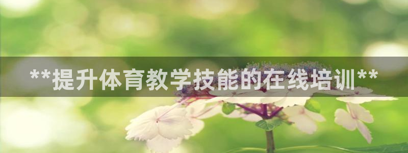苏州极悦信息科技有限公司：**提升体育教学技能的在线