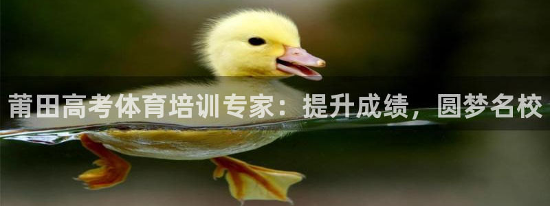 极悦娱乐下载安装手机版：莆田高考体育培训专家：提升成