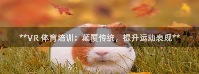极悦平台登录7.0.2.4手机版下载：**VR 体育