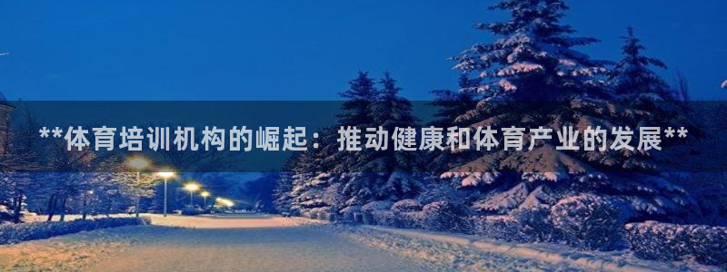极悦娱乐官网最新版本更新内容是什么：**体育培训机构