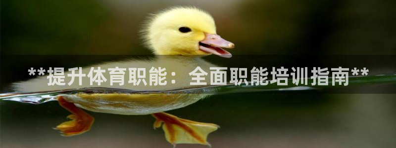极悦娱乐登录拒绝访问怎么办啊：**提升体育职能：全面