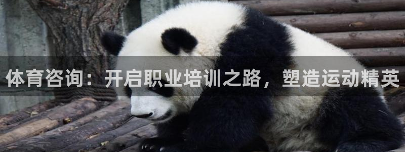 极悦平台官网登录入口：体育咨询：开启职业培训之路，塑