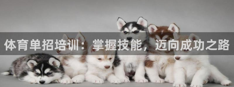 极悦官网旗舰店是正品吗：体育单招培训：掌握技能，迈向