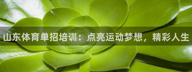 极悦娱乐贴吧：山东体育单招培训：点亮运动梦想，精彩人