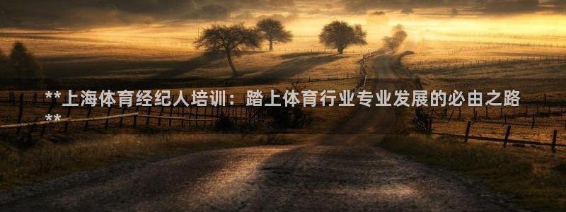 极悦平台客服团队介绍：**上海体育经纪人培训：踏上体