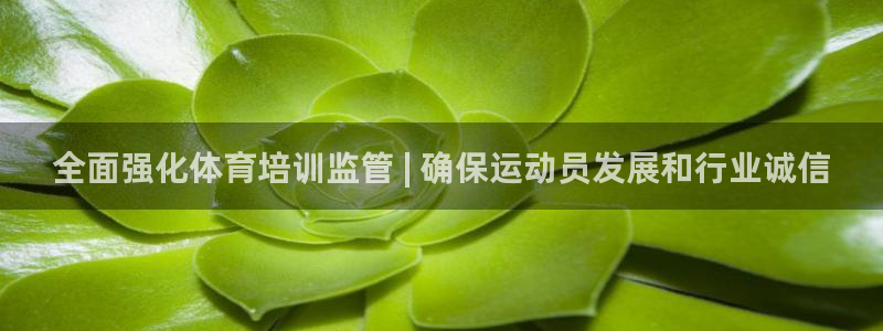 极悦平台app安全吗是真的吗：全面强化体育培训监管 