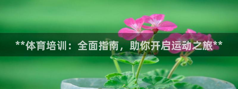 极悦平台好7.0.2.4怎么样：**体育培训：全面指