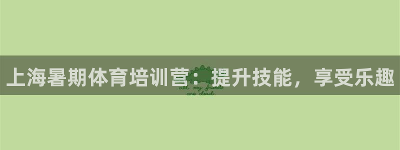 极悦官方网站入口网址是什么：上海暑期体育培训营：提升