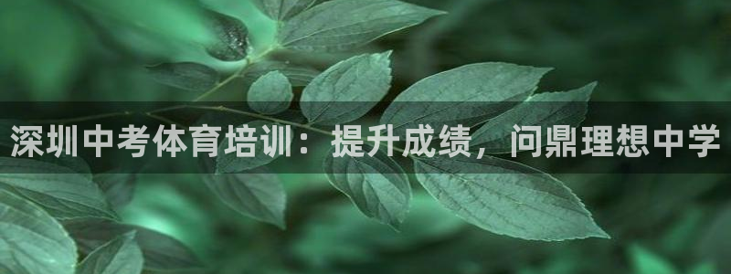 极悦娱乐官网入口网站：深圳中考体育培训：提升成绩，问