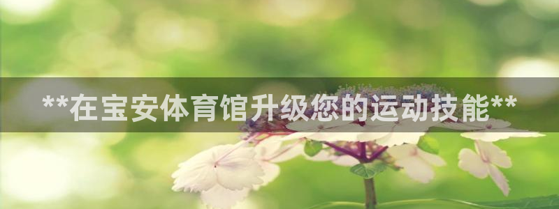 极悦平台官网下载中心：**在宝安体育馆升级您的运动技