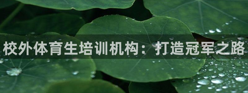 极悦平台官网登录入口：校外体育生培训机构：打造冠军之
