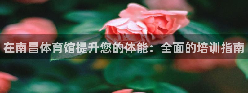 极悦平台的注册流程及注意事项：在南昌体育馆提升您的体能：全面