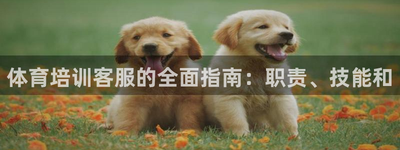 极悦官网登录：体育培训客服的全面指南：职责、技能和