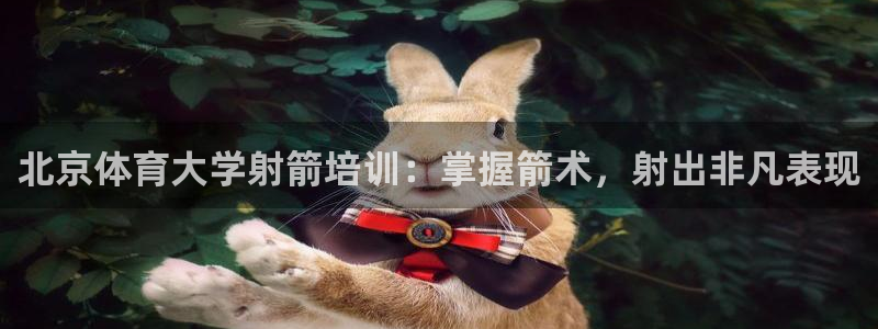 极悦平台注册申请流程详解：北京体育大学射箭培训：掌握