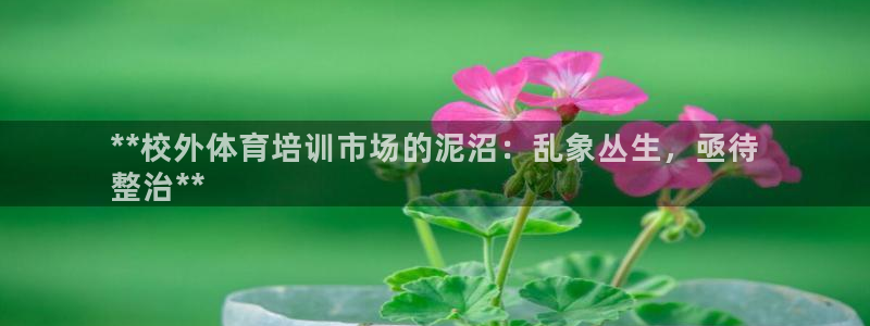 极悦娱乐挂机赚钱是真的吗吗：**校外体育培训市场的泥