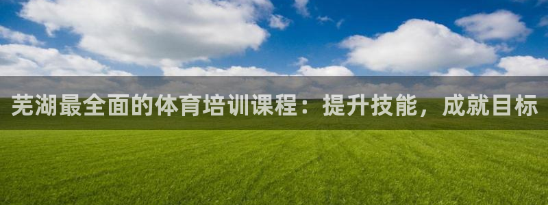 极悦平台注册和登录页面一样吗：芜湖最全面的体育培训课