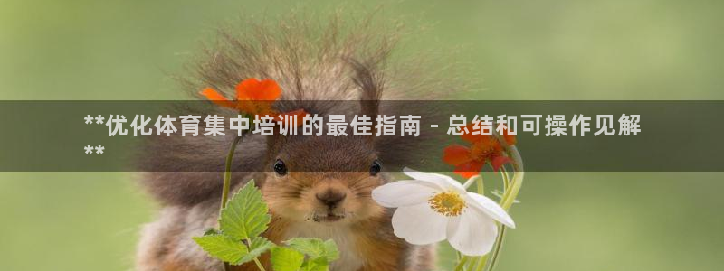 极悦娱乐官网下载安装：**优化体育集中培训的最佳指南