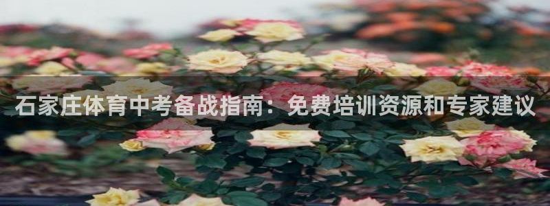 极悦官网首页登录入口：石家庄体育中考备战指南：免费培