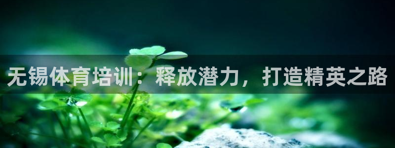 极悦平台有风险吗安全吗：无锡体育培训：释放潜力，打造