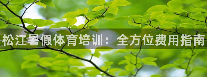极悦平台非7O777：松江暑假体育培训：全方位费用指