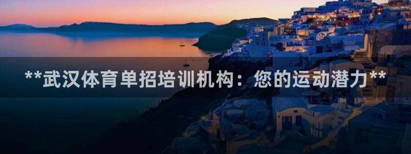 苏州极悦信息科技有限公司：**武汉体育单招培训机构：您的运动