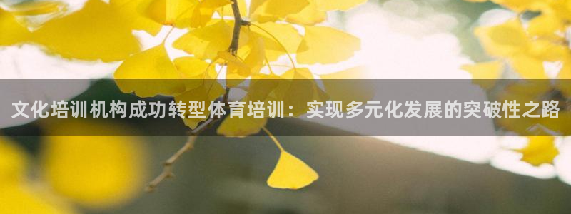 极悦平台是干什么的：文化培训机构成功转型体育培训：实现多元化