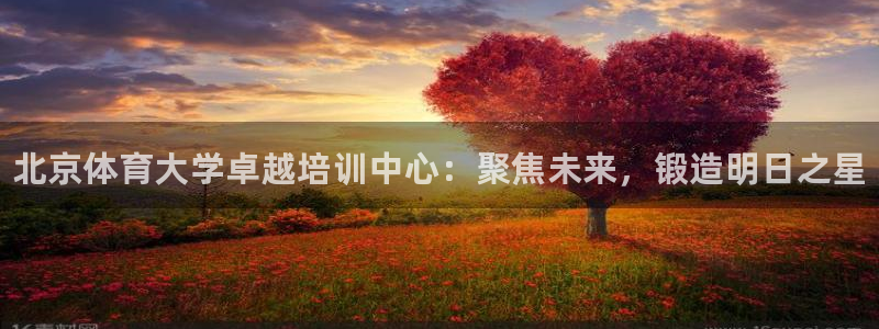 极悦娱乐官网入口网址