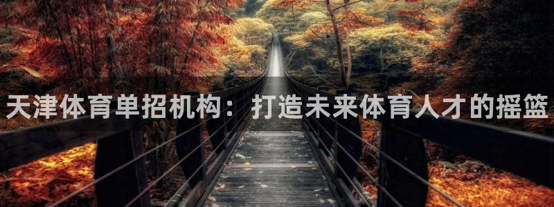 极悦平台与网易合作详情在哪