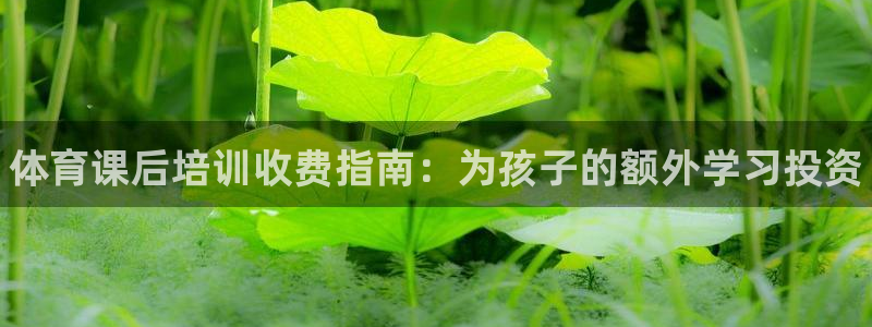 极悦平台注册和登录页面：体育课后培训收费指南：为孩子