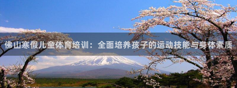 极悦平台官网入口网站：佛山寒假儿童体育培训：全面培养孩子的运