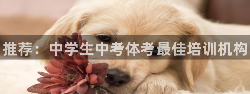 极悦娱乐挂机赚钱是真的吗：推荐：中学生中考体考最佳培训机构