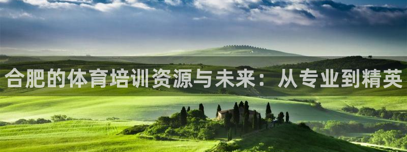 极悦娱乐负责人是谁：合肥的体育培训资源与未来：从专业到精英