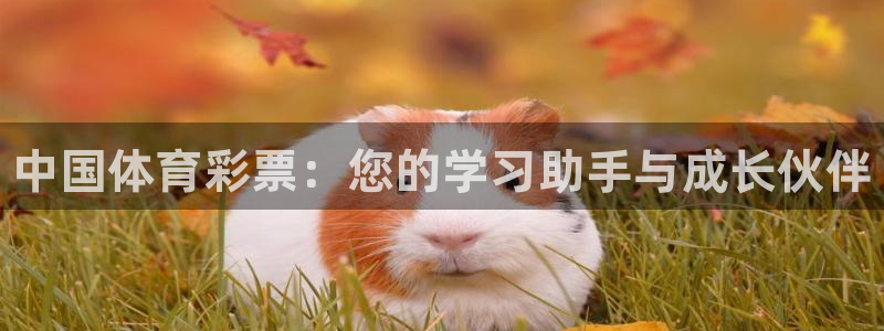 极悦娱乐代理多少钱一个：中国体育彩票：您的学习助手与成长伙伴