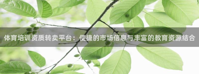 极悦平台官方网站登录入口：体育培训资质转卖平台：便捷