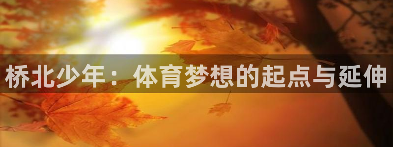 极悦平台客服投诉电话是多少啊：桥北少年：体育梦想的起