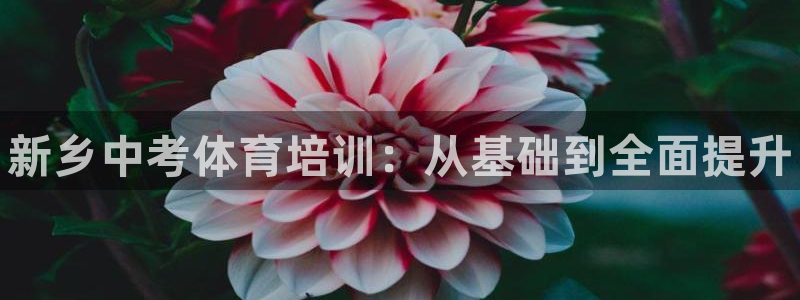 极悦平台是正规平台吗：新乡中考体育培训：从基础到全面提升