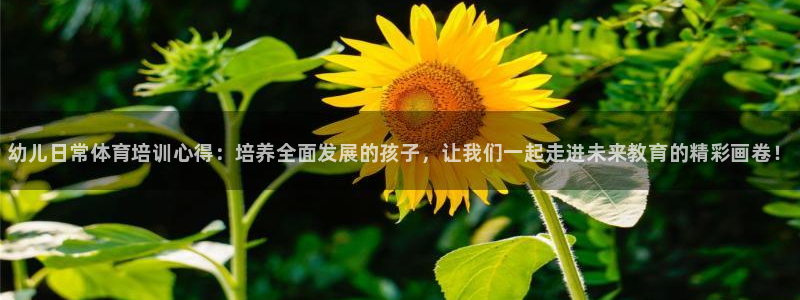 极悦官网旗舰店：幼儿日常体育培训心得：培养全面发展的