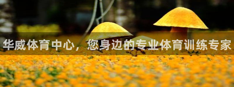 极悦平台客服团队：华威体育中心，您身边的专业体育训练